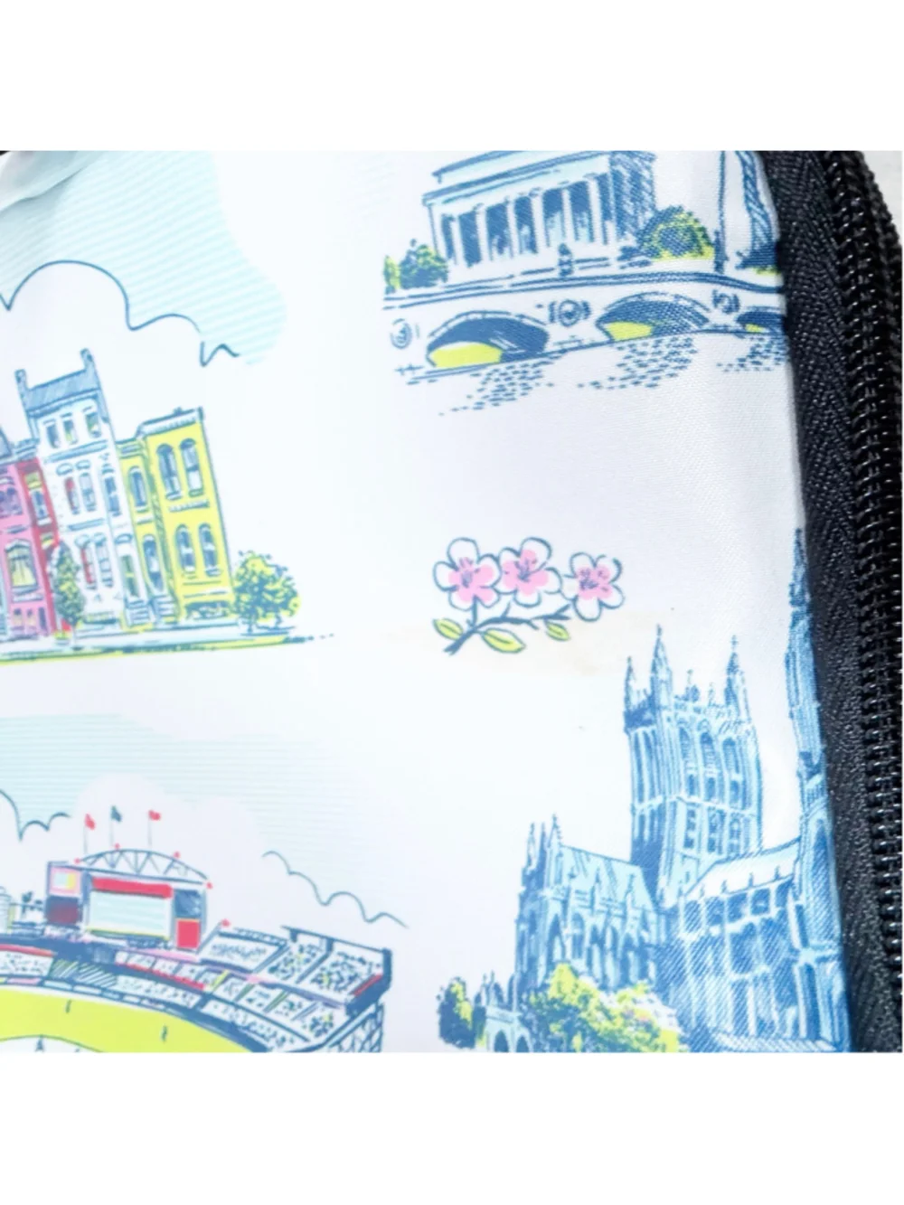 SCOUT The Stiff One Large Soft Cooler Washington DC Pattern Insulated Picnic Bag